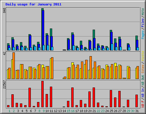 Daily usage for January 2011