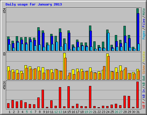 Daily usage for January 2013