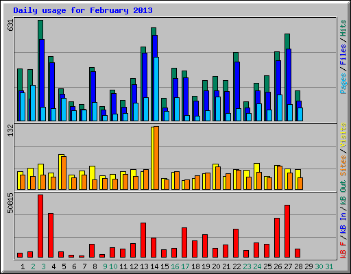 Daily usage for February 2013