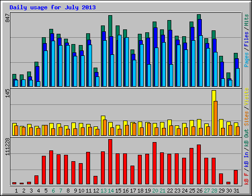 Daily usage for July 2013