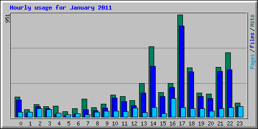 Hourly usage for January 2011