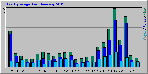 Hourly usage for January 2013